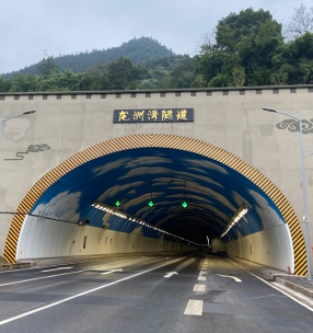 重庆龙洲湾隧道
